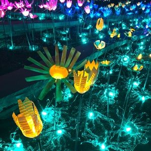 Meet your Posher, Elise